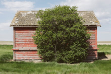Exterior View Of Small Red Barn And Tree