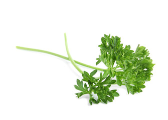 Fresh green organic parsley on white background