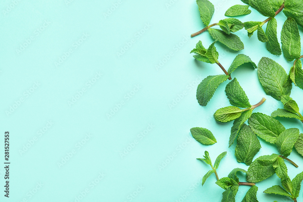 Fresh green mint leaves on blue background, flat lay. Space for text - obrazy, fototapety, plakaty 