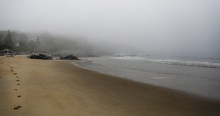 Foggy Morning View Of The Coast In New England, USA.