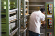 © SVRSLYIMAGES - rear view of pastry chef