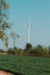 wind turbines in the field