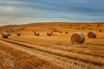 Wall Mural - Agriculture, landscape after harvest, straw bales in the foreground, Poland