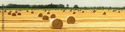 Fotografía Strohballen auf dem Feld
