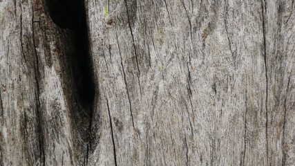 old wood background, dirty wooden board texture