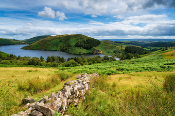 Wall Mural - Summer at Llyn Clywedog