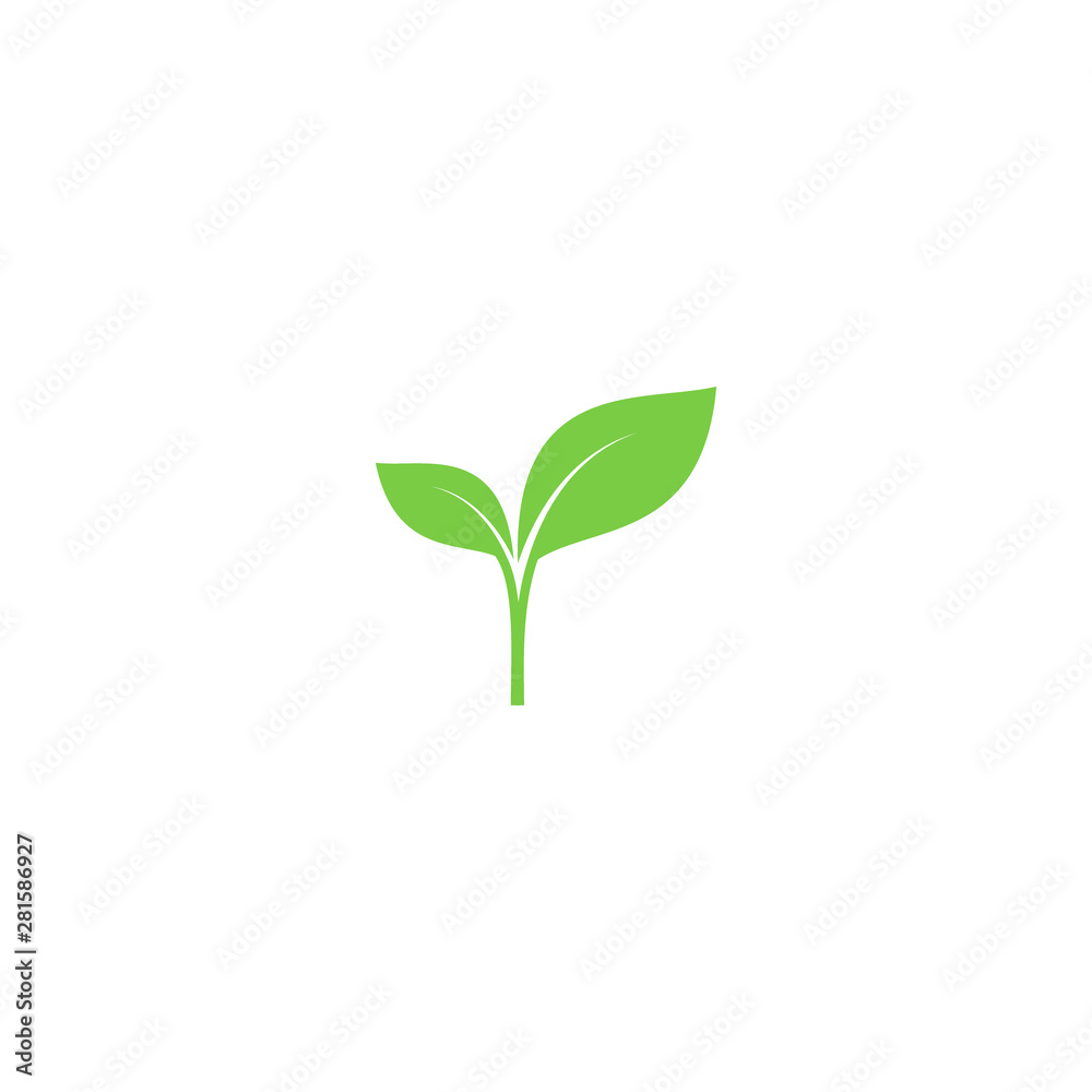 Young sprout green vector icon. Sprout with leaves simple plant symbol. - obrazy, fototapety, plakaty 
