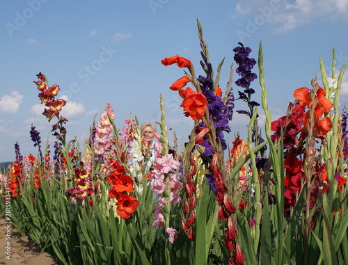 Fotomural The gladioli in the many bright colors also inspire this young woman