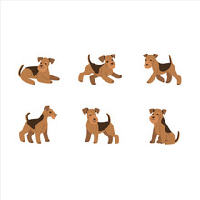 Airedale Terrier Icon Set. Different Type Of  Airedale Terrier. Vector Illustration For Prints, Clothing, Packaging, Stickers, Stickers.