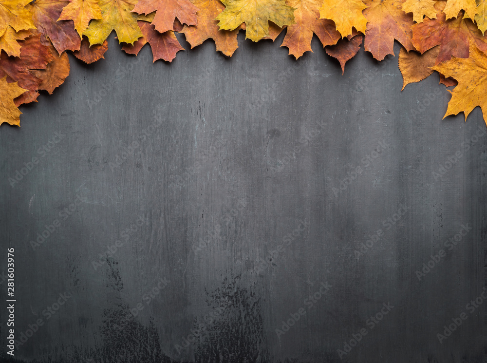 Seasonal autumn background. Frame of colorful maple leaves. Stock Photo ...