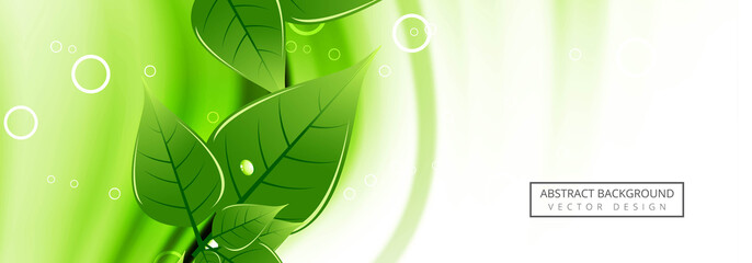 Wall Mural - Beautiful leaf banner design template
