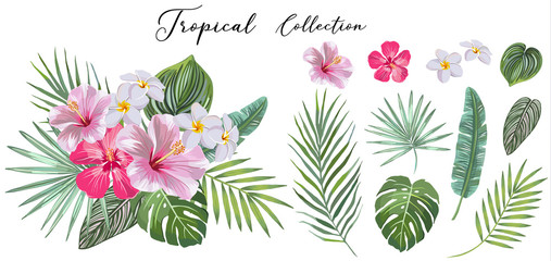Wall Mural - hand drawn Set of tropical leaves and flowers. vector design concept