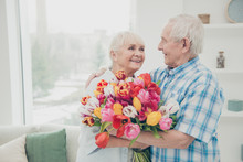 Portrait Of Her She His He Two Nice Attractive Cheerful Cheery Sweet Tender People Granny Receiving Fresh Floral Tulips Congratulations Greetings Spring In Light White Interior Living-room House