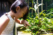 Leinwandbild Motiv Asian Little Chinese Girl watching butterfly