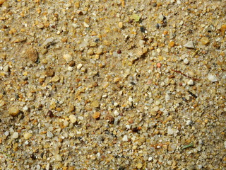 Sticker - wet sand texture