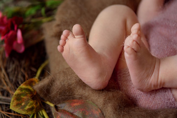 Photo of newborn baby feet, soft focus.