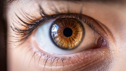 a close up view of the brown eye of a beautiful young woman