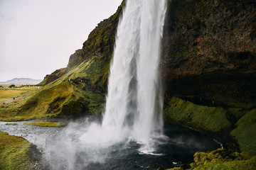 Wall Mural - Fantastic Seljalandsfoss waterfall in Iceland during sunny day.