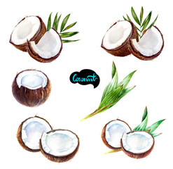 Coconut set watercolor isolated on white background