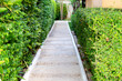 © sabthai - cement walkway in the green leaf garden