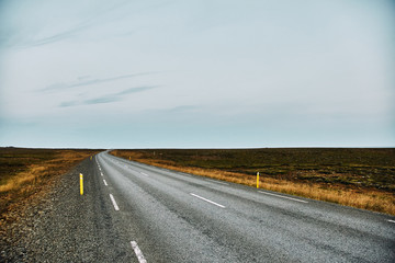 Wall Mural - Beautiful road in the incredible landscapes of Iceland