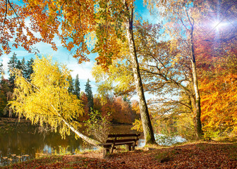 Wall Mural - beautiful autumn forest landscape fall park indian summer