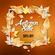 Abstract autumn sale offer banner design with frame
