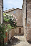 Fototapeta Do pokoju - Vicolo nella città medievale di  Assisi, Umbria - Italia