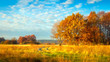 © dzmitrock87 - Autumn nature. October landscape on sunny bright day. Colorful trees on beautiful meadow in morning