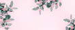 Leinwandbild Motiv Eucalyptus leaves and branches on pastel pink background. Eucalyptus branches pattern. Flat lay, top view, copy space, banner