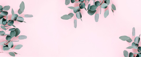 Wall Mural - Eucalyptus leaves and branches on pastel pink background. Eucalyptus branches pattern. Flat lay, top view, copy space, banner