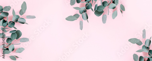 Cuadros en Lienzo Eucalyptus leaves and branches on pastel pink background