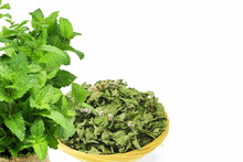 Fresh Green And Dried Mint Leaves Or Mentha Piperita Leaves Herb Isolated In White Background