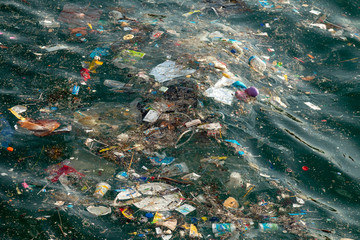 istanbul bosphorus marine pollution 