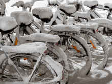 Row Of Parked Bicycles Covered In Snow