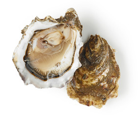 Poster - fresh oyster on white background