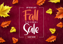 Fall Sale Seasonal Vector Banner. Fall Season Sale Text Typography With Colorful Maple Leaves In Red Autumn Pattern Background. Vector Illustration.