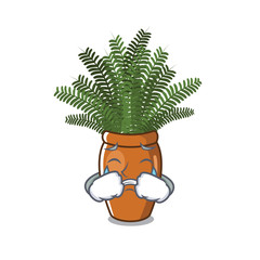 Sticker - Crying boston fern with the cartoon shape