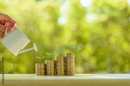 Fotomural Fund investment / portfolio management for long term sustainable growth concept : Investor pours water from watering can, sprout on rows of rising coins, depicts money gain from financial investment