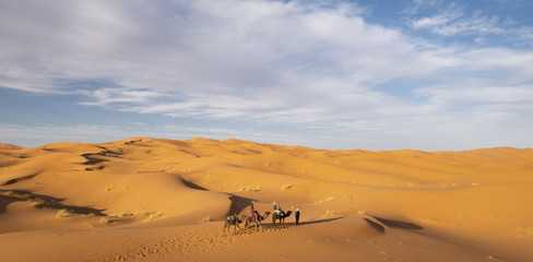 Stunning view of some tourists riding camels on the dunes of the Thar Desert in Rajasthan during a beautiful sunset. India. The Thar Desert is a large arid region in the northwestern part of India.