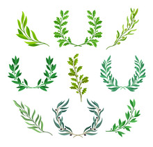 Set Of Green Wreaths. Vector Illustration On White Background.