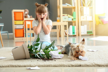 Wall Mural - Little girl and her dog near dropped houseplant and paper pieces on carpet