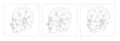 © Oomi - Face Recognition Biometric Scanning System Concept Abstract  Low Polygon face: masculine, feminine and childish profile. Scanning Template Background Vector Illustration isolated on white