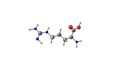 Wall Mural - Rotating isolated arginine amino acid molecule