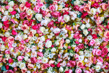 Fototapeta Miasta - Peonies Flowers Background. Colorful background. Many flowers.