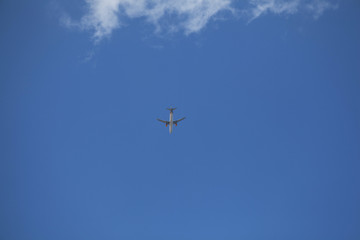 Wall Mural - Big plane in the sky.