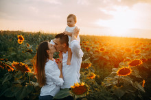 Happy Young Parents With Baby Kisses In The Sunflower Field.