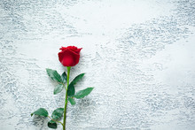 Red Roses On A Light Textured Background. Place For Text, Top View