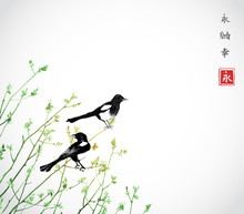 Young Trees And Two Magpies Birds. Traditional Oriental Ink Painting Sumi-e, U-sin, Go-hua. Hieroglyph - Double Luck.