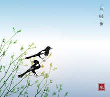 Magpie Birds Sitting On Young Tree Branches And Blue Sky. Traditional Oriental Ink Painting Sumi-e, U-sin, Go-hua. Hieroglyphs - Eternity, Freedom, Happiness.